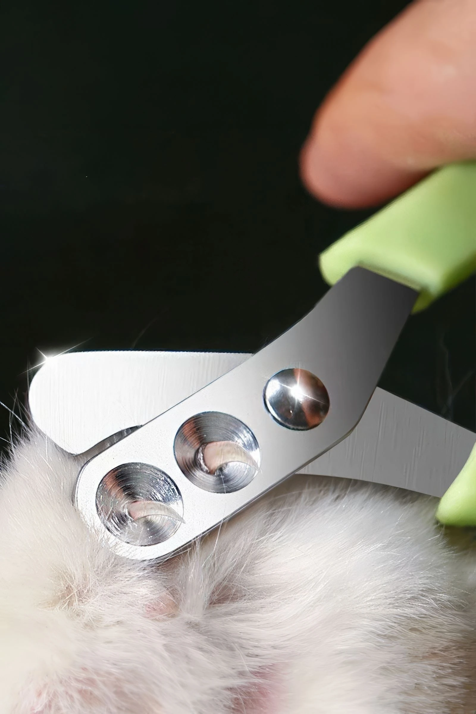 Çelik Uçlu Çift Delikli Yeşil Kedi Tırnak Makası cin821ys