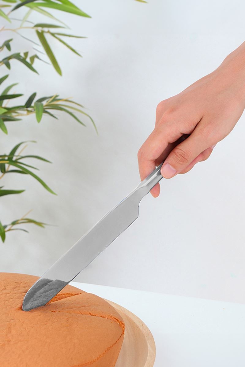 Çelik Silver Pasta Spatula Bıçak Seti Kek Sunum cin615by