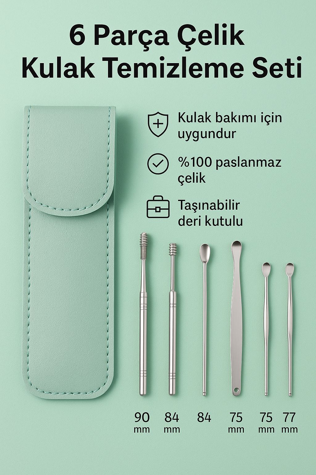 Yeşil Deri Çantalı 6 Parça Çelik Kulak Temizleme Seti cin433ys