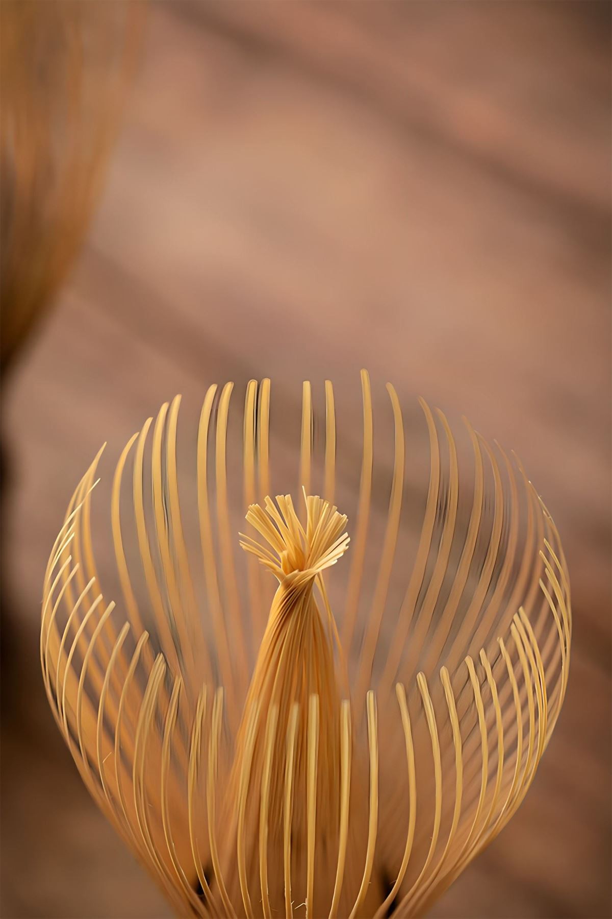 Shiratake Bambu Matcha Çayı Karıştırıcı Fırça Bamboo Whisk Köpürtücü mt207