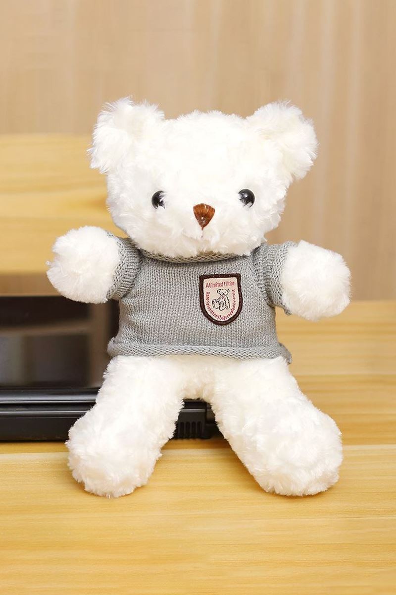 Chavin 30 cm Beyaz Hediye Peluş Oyuncak Ayıcık ayi-05