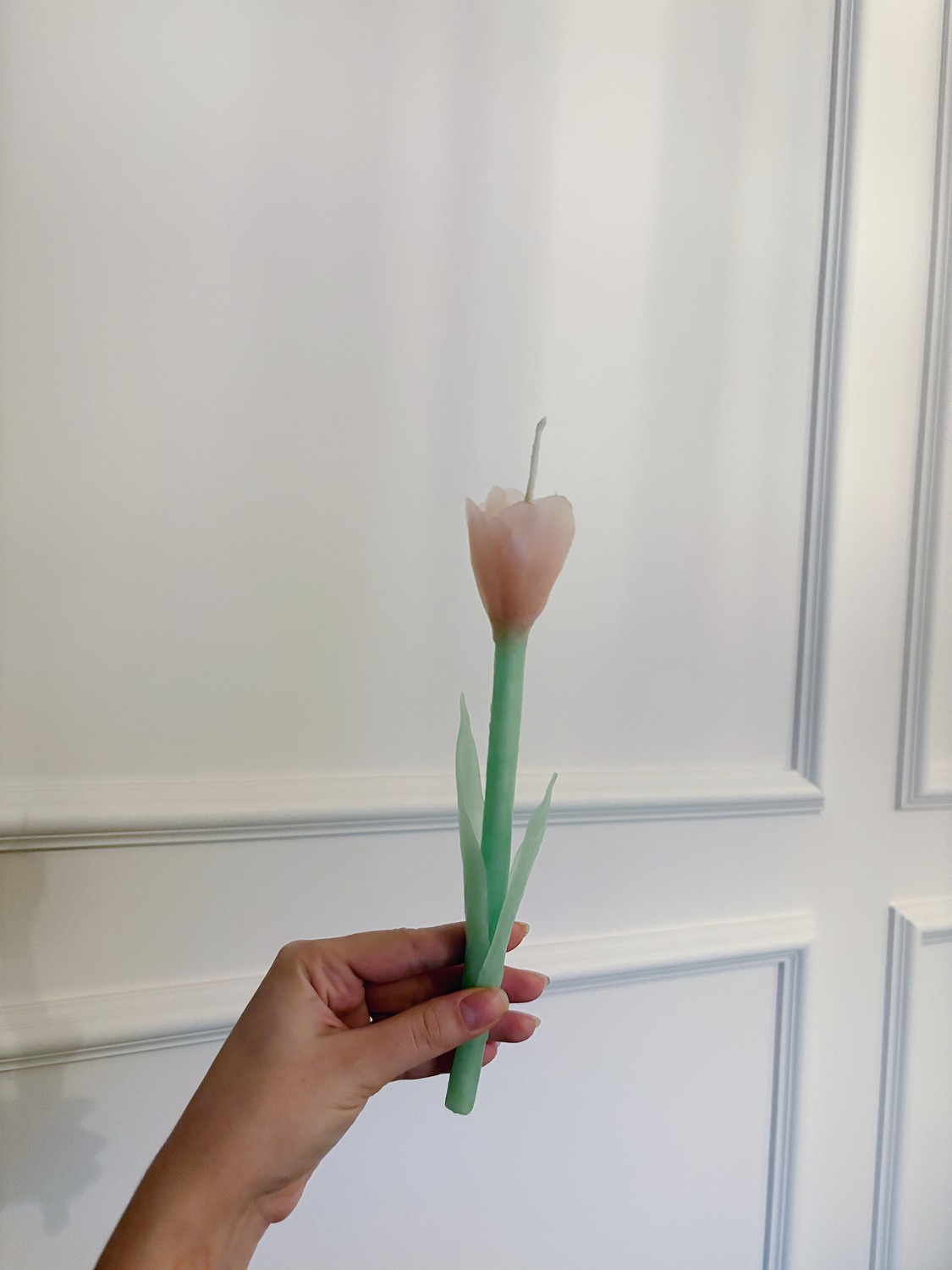 Tulip Lale Mum