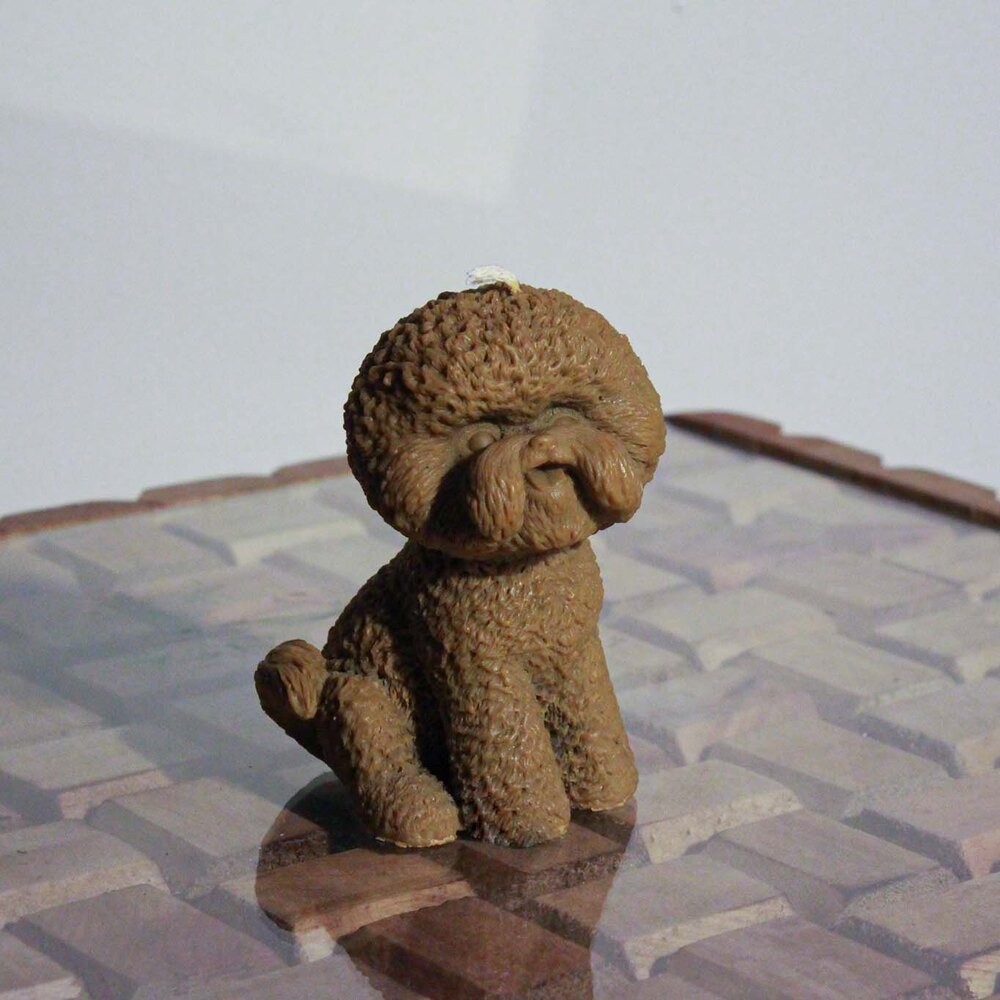 Poodle Köpek Mum