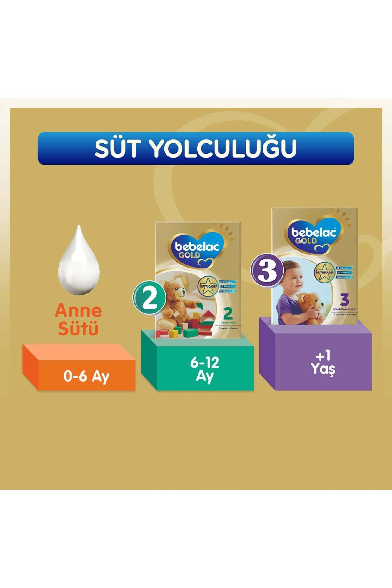 Bebelac Gold 2 Devam Sütü 6 Ay+ 350 gr