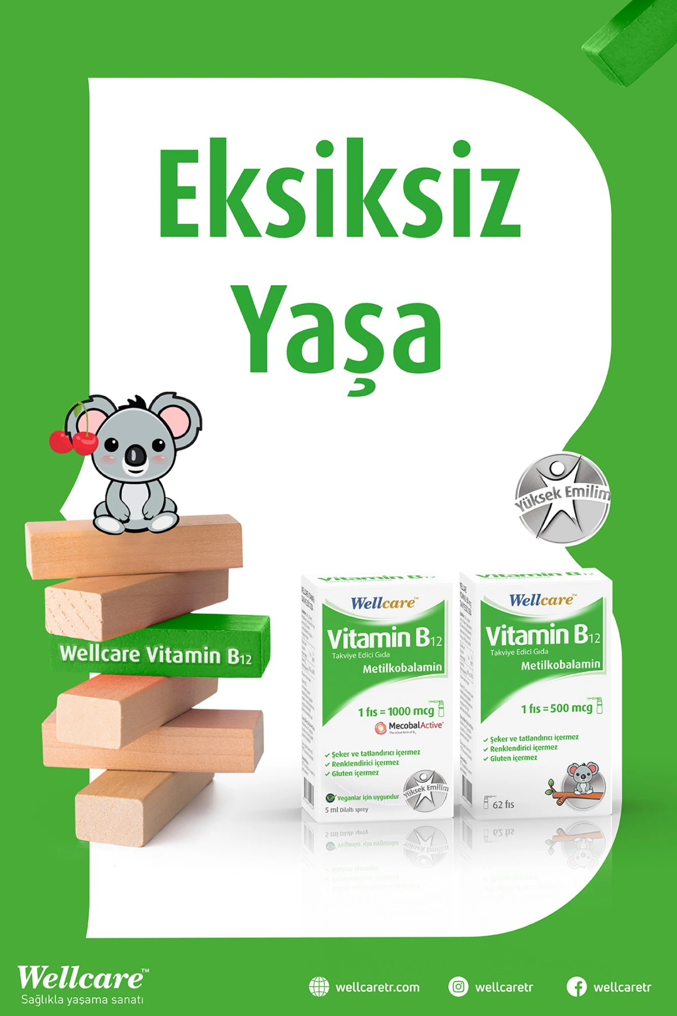 Wellcare Vitamin B12 1000 mcg Sprey 5 ml