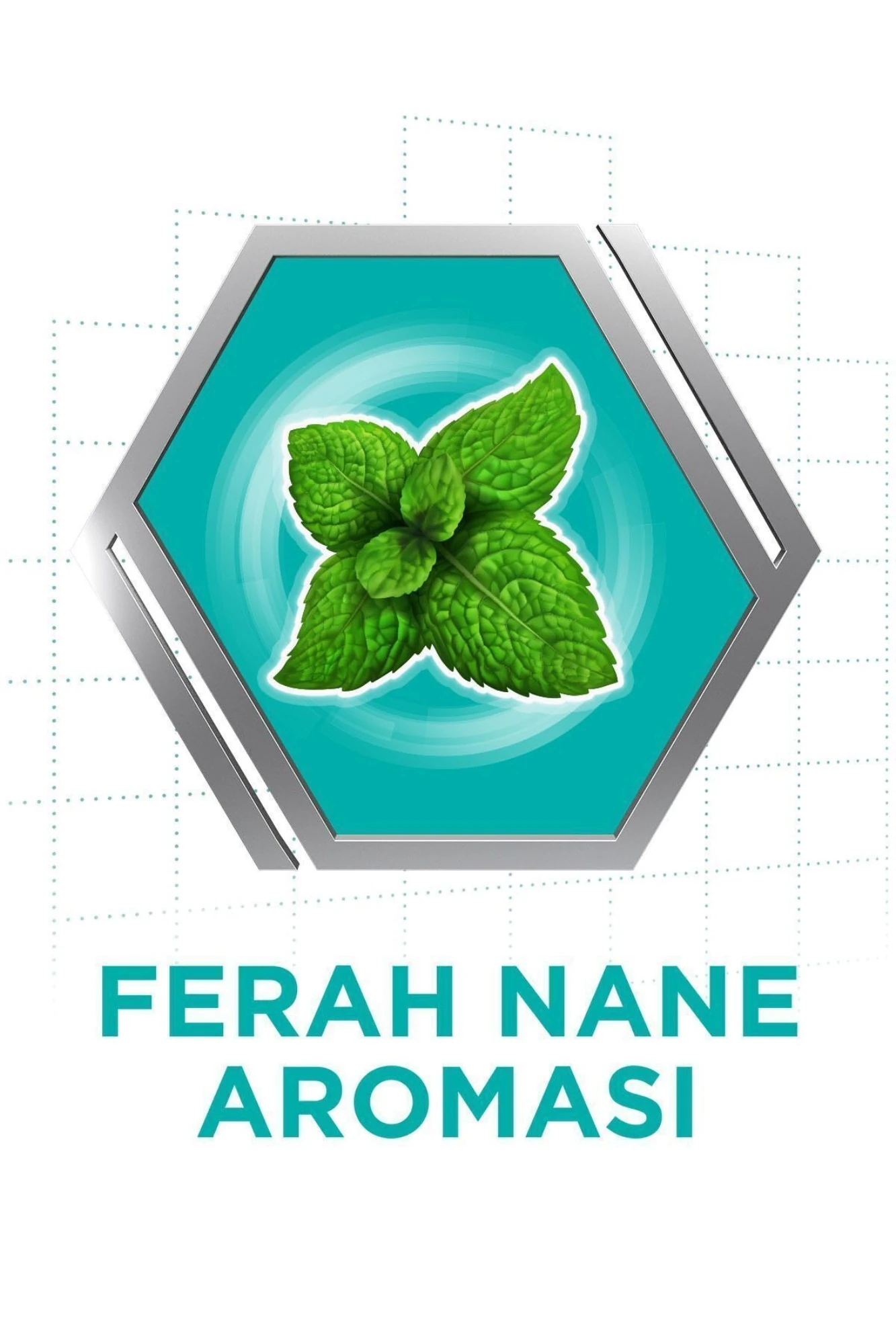 Corega Süper Protez Yapıştırıcı Naneli Krem 40 gr