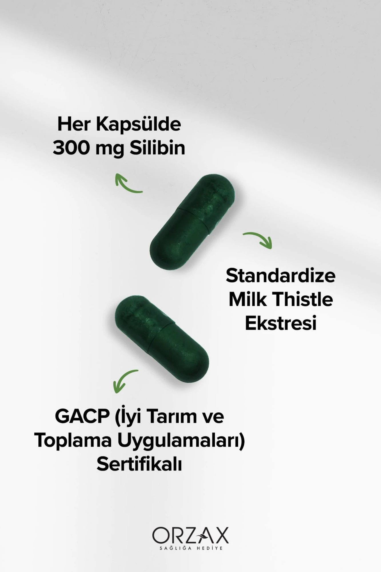 Ocean Milk Thistle 30 Tablet