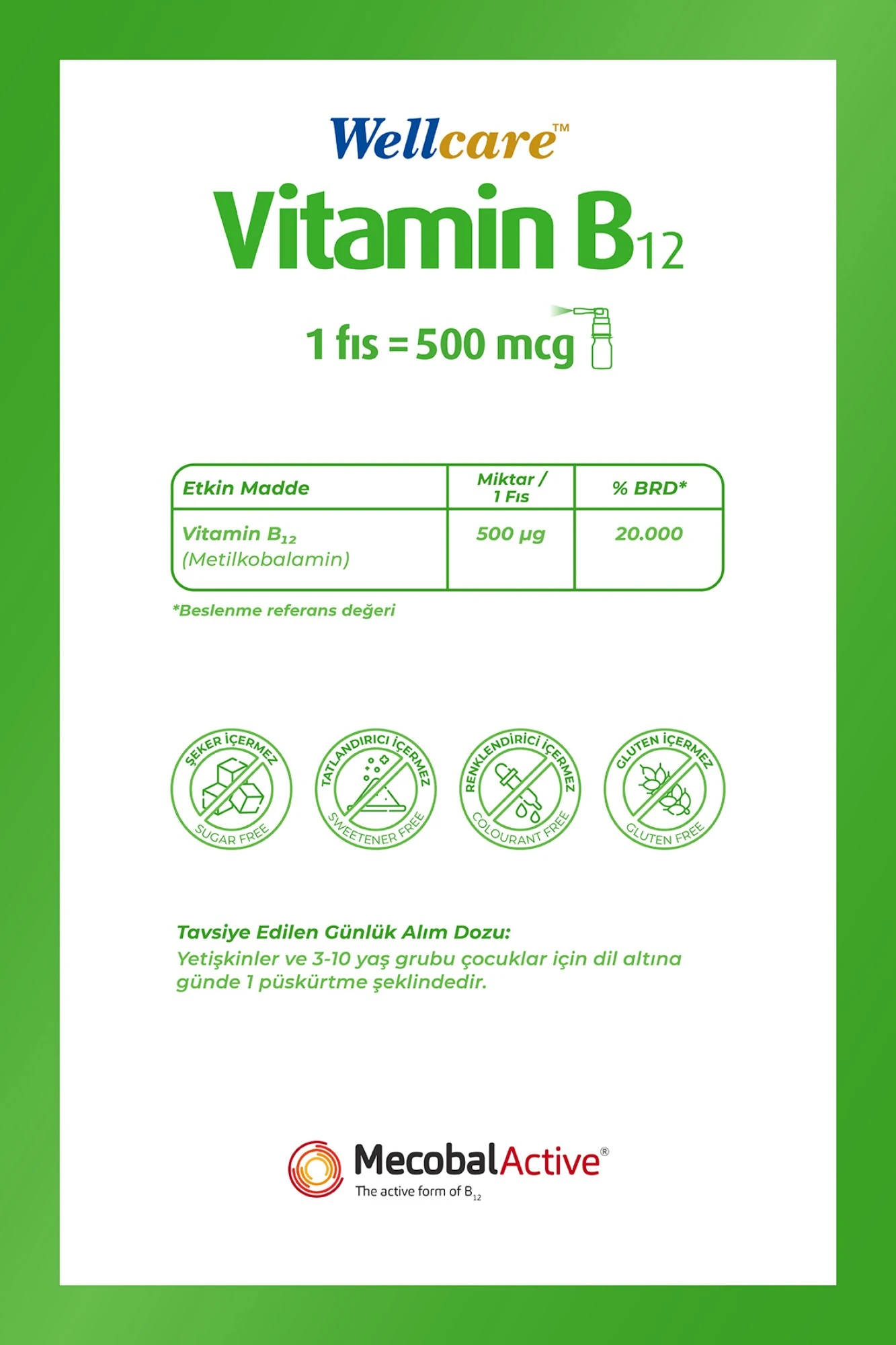 Wellcare Vitamin B12 500 mcg Sprey 5 ml