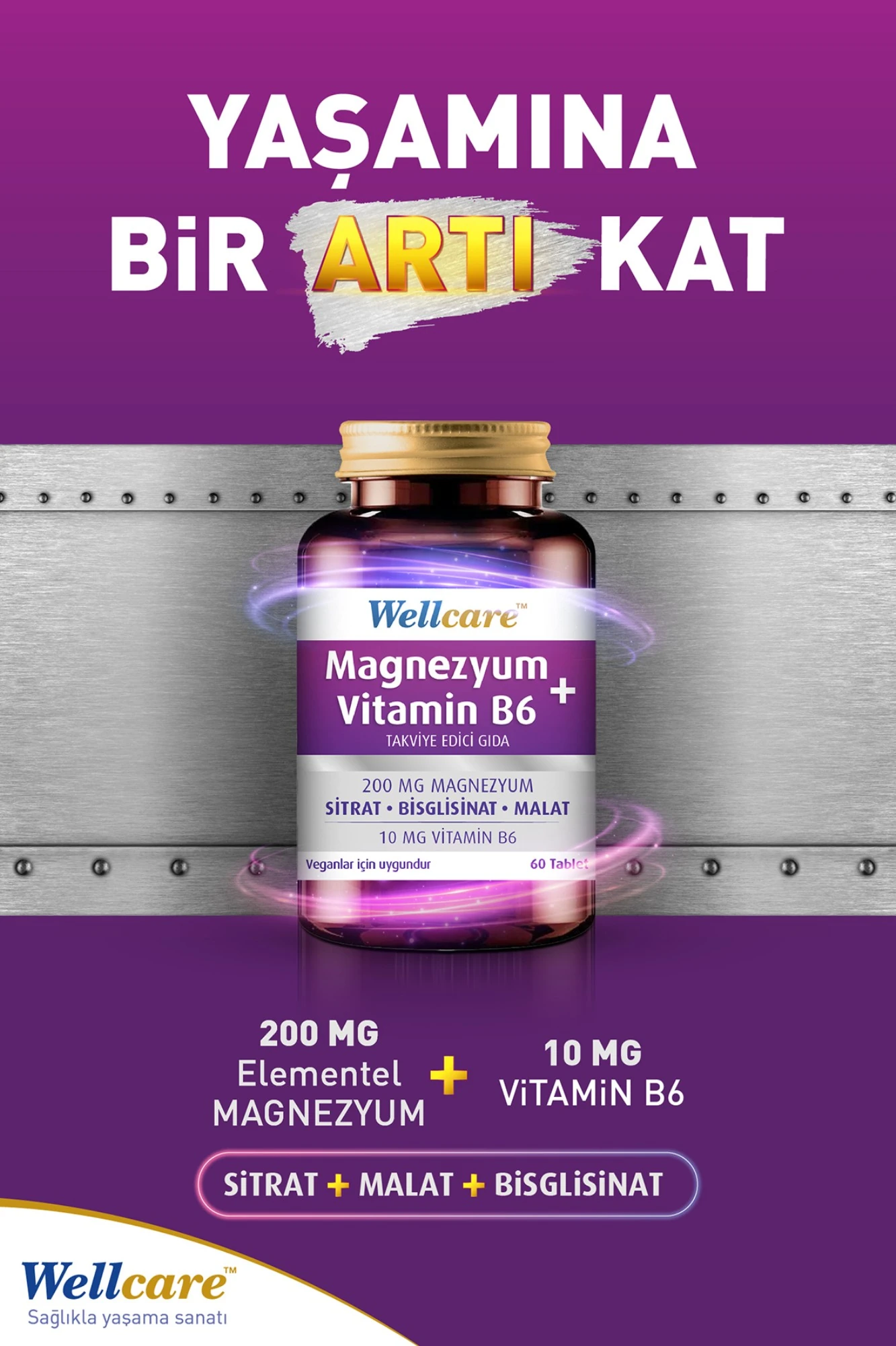 Wellcare Magnezyum + Vitamin B6 60 Tablet