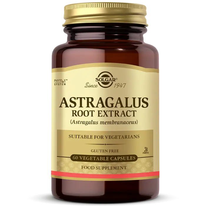 Solgar Astragalus Root Extract 60 Kapsül