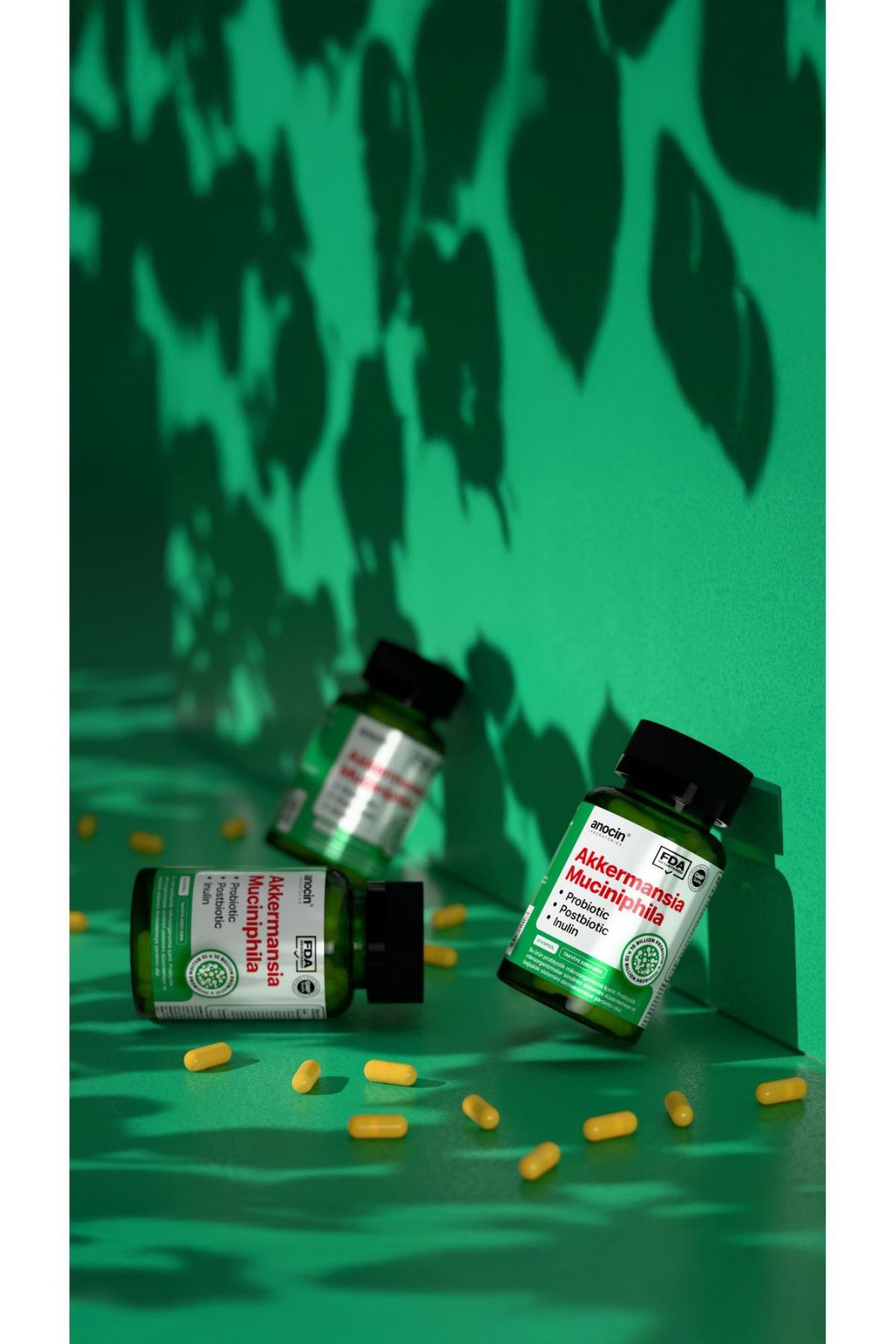 Anocin Akkermansia Muciniphila Probiyotik