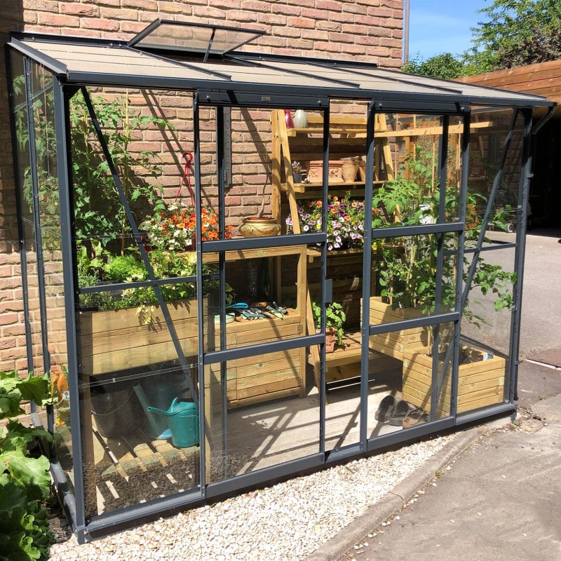 LAMS - GREENHOUSE MELISSA
