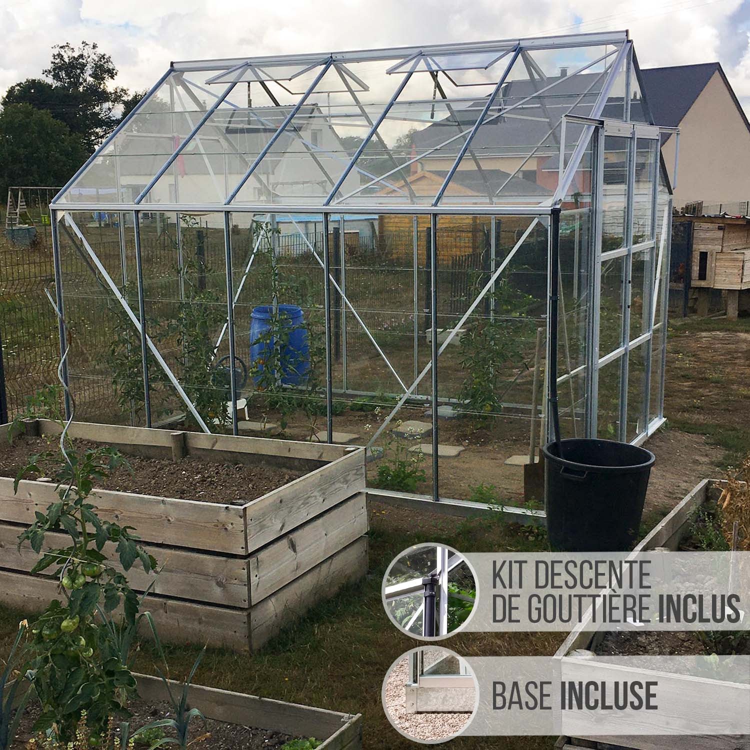 LAMS - GREENHOUSE LAURUS