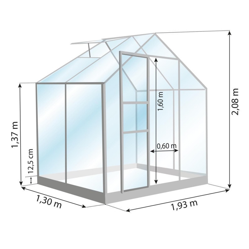 LAMS - GREENHOUSE ALLIUM
