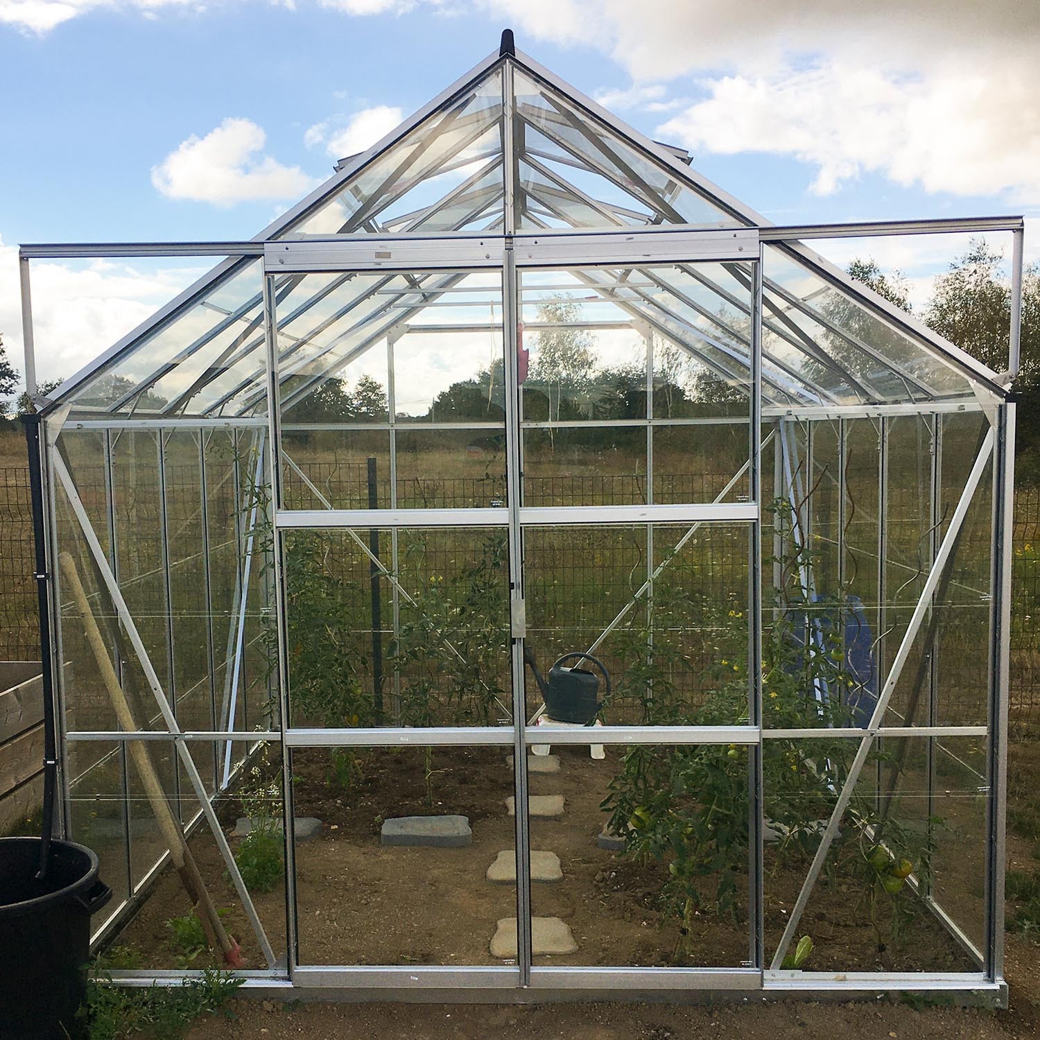 LAMS - GREENHOUSE LAURUS