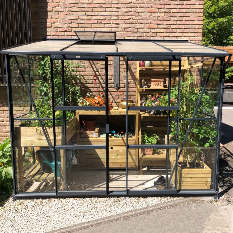 LAMS - GREENHOUSE MELISSA