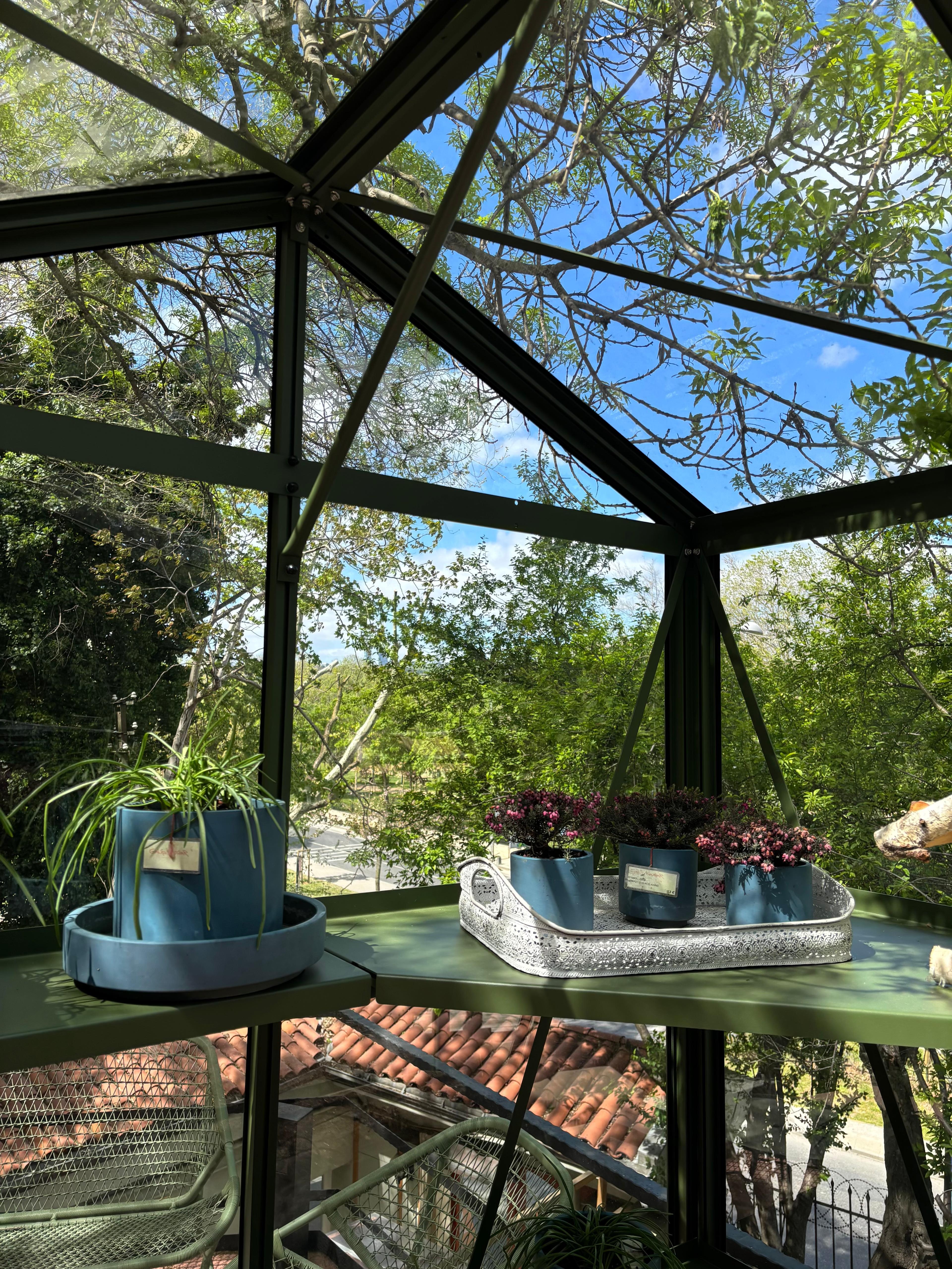 LAMS - GREENHOUSE LUXIA
