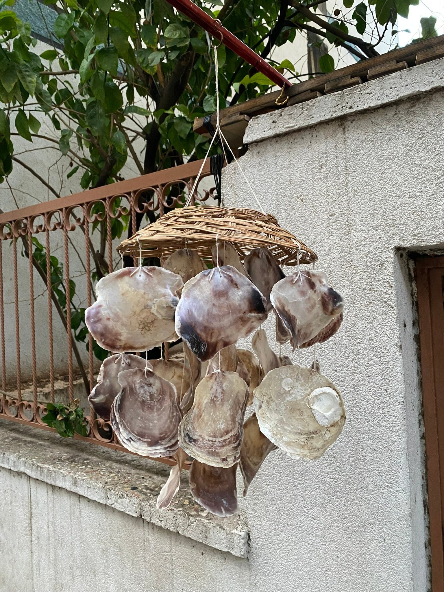 Sepet Plaguna Deniz Kabuklu Rüzgar Çanı