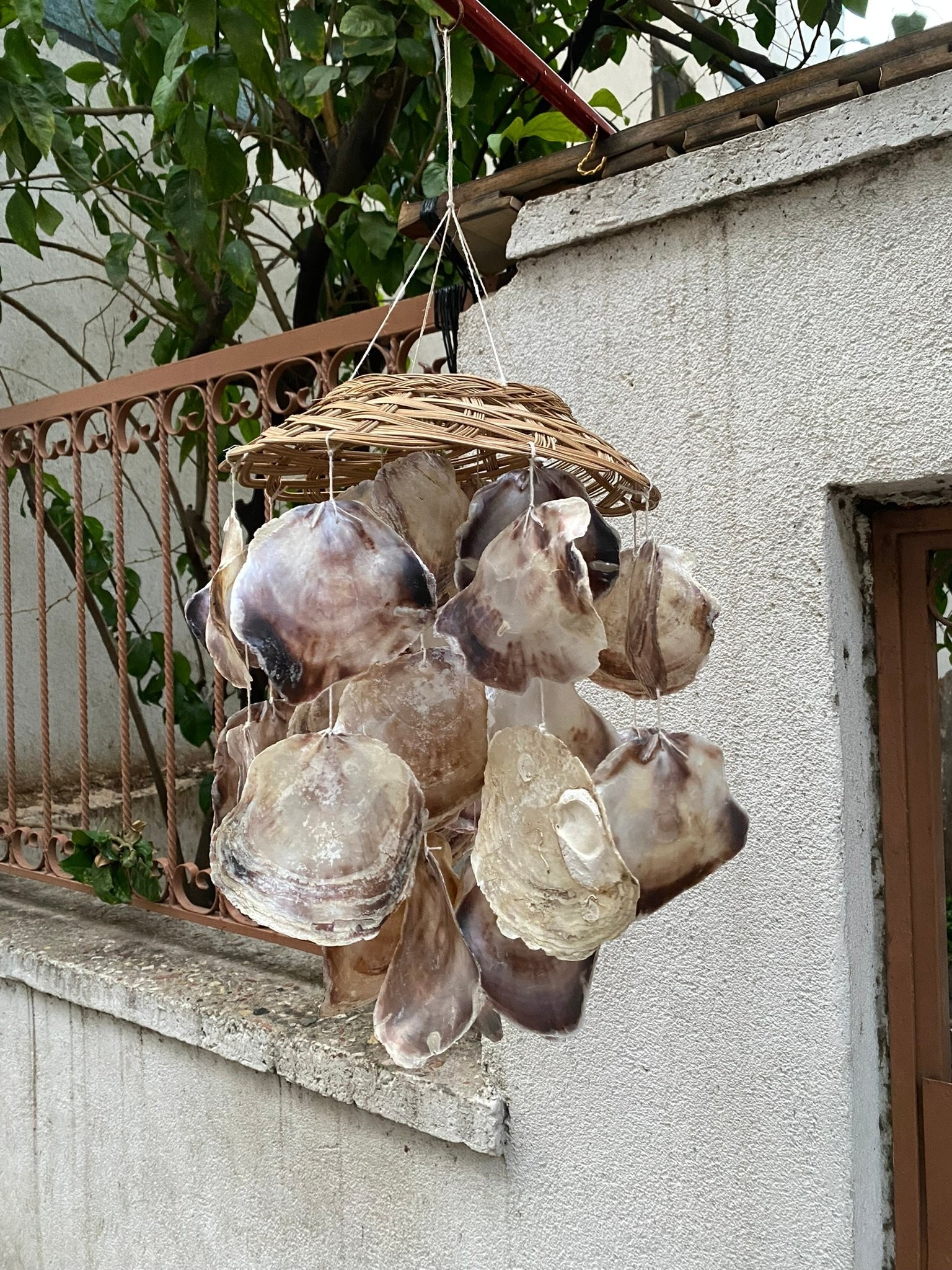 Sepet Plaguna Deniz Kabuklu Rüzgar Çanı