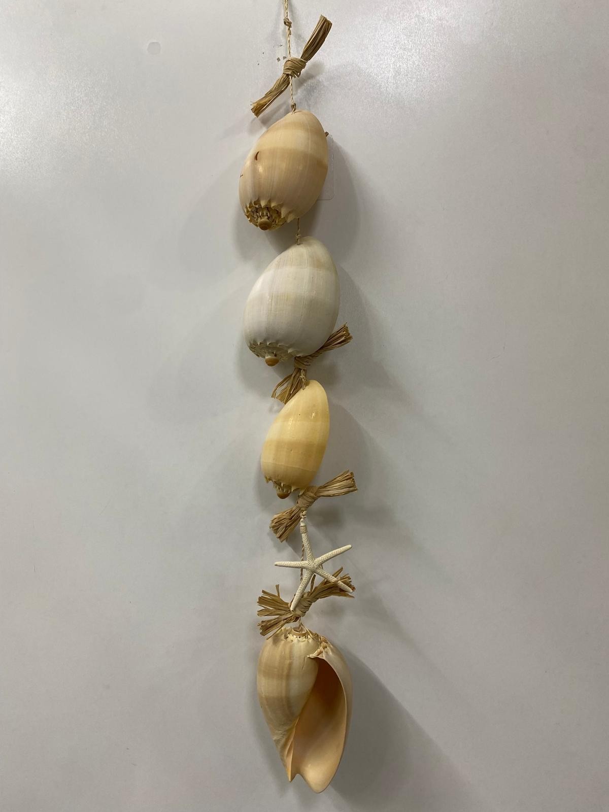 4 lü Melo Gerçek Deniz Yıldızlı Rüzgar Çanı