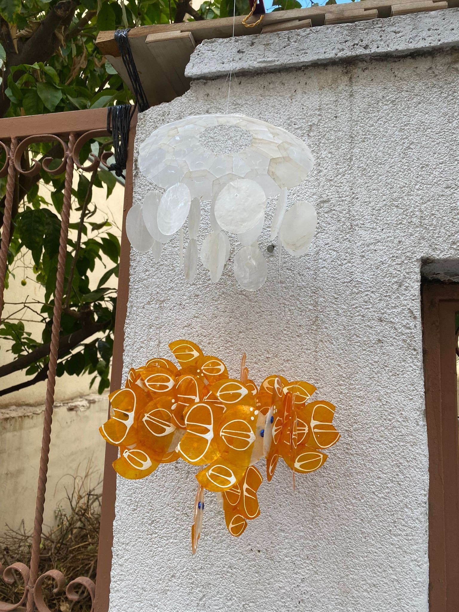Sedef Çapiz Deniz Kabuklu Balıklı Sarkaç