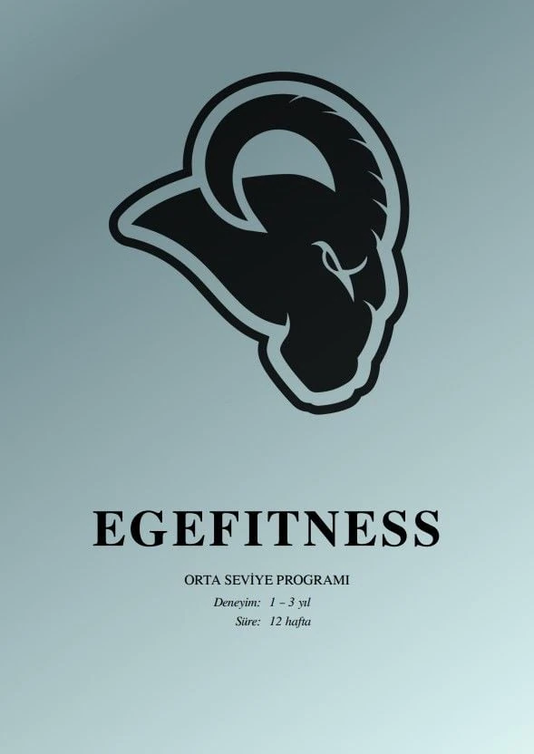 Orta Seviye Hazir Program (Deneyim: 1-3 yıl)