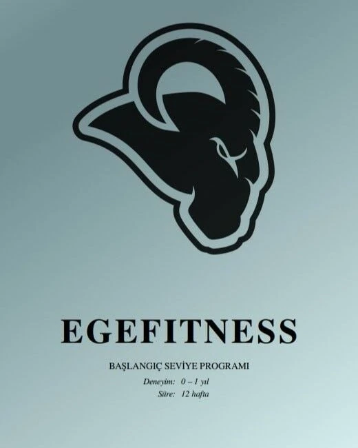 Baslangic Seviyesi Hazir Program (Deneyim: 1 yıl altı)