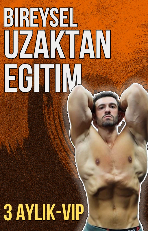 3 Aylık Bireysel Uzaktan Eğitim (VIP Sistem)