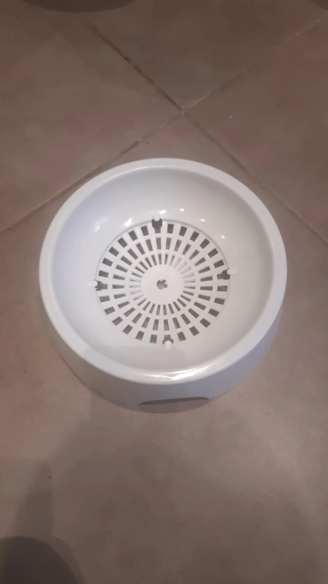 Renkli Güvercin Folluk 26 cm çap - Beyaz