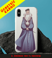 Wizard's