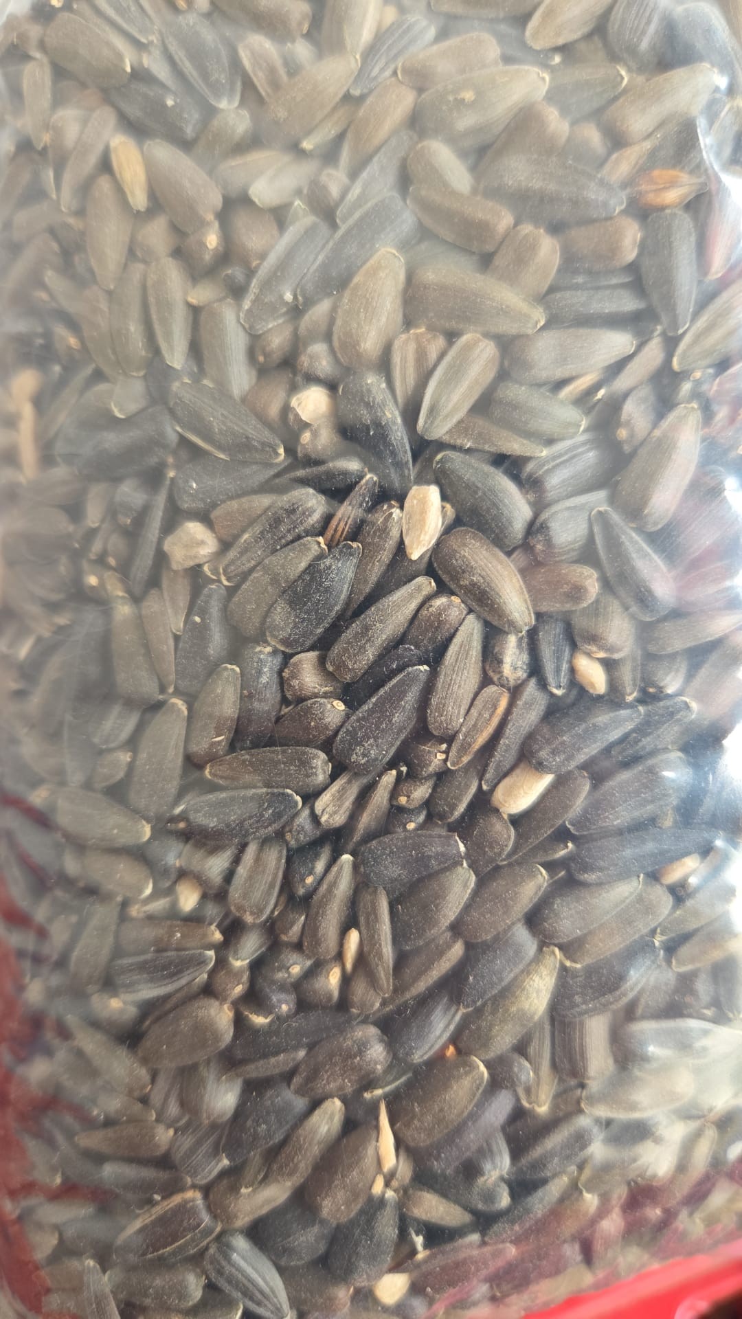 Çekirdek, Kuş Yemi, 1 KG