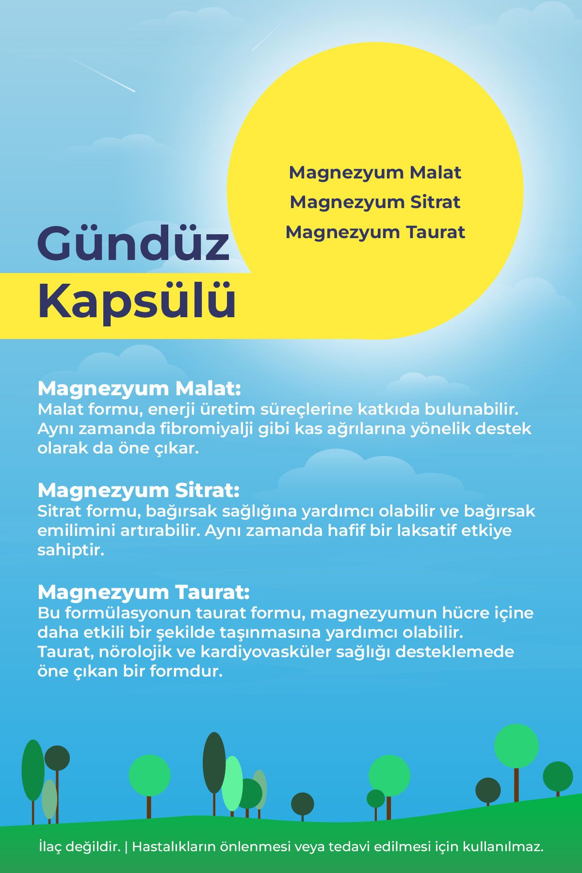 Magnezyum Gündüz&gece 60 Tablet Glisinat-malat-sitrat-taurat