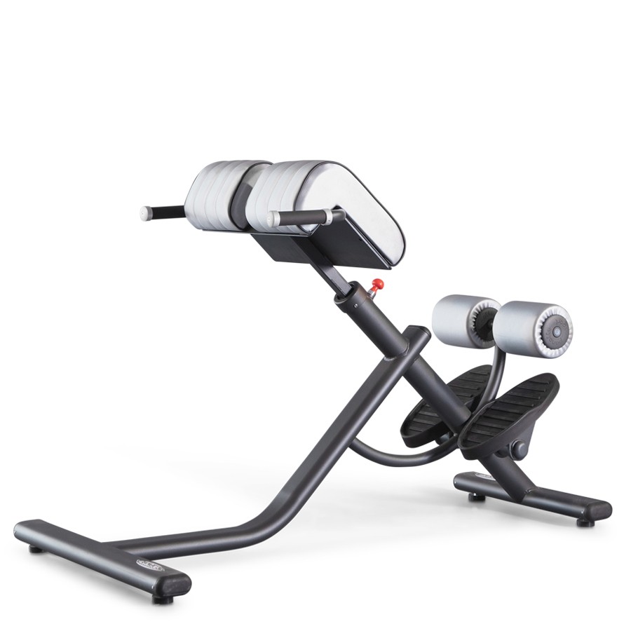 1FE221-Iperextension 45° Bench