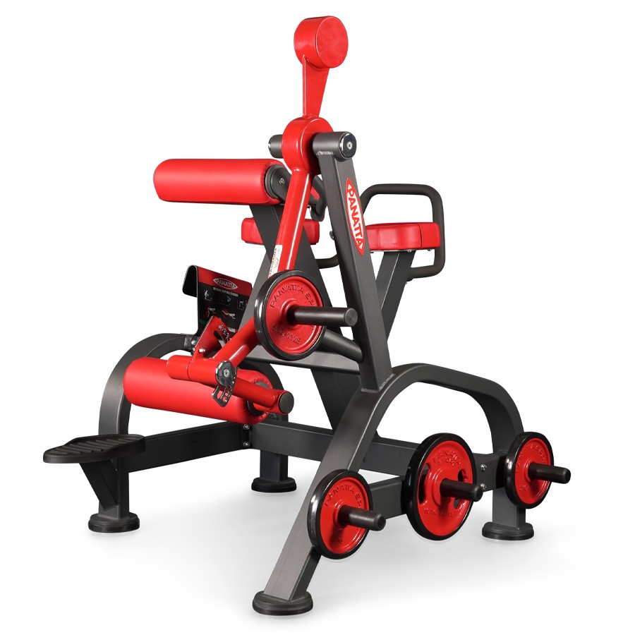 1FW096-Reverse Hyperextension