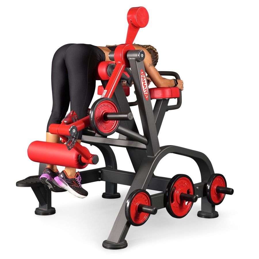 1FW096-Reverse Hyperextension