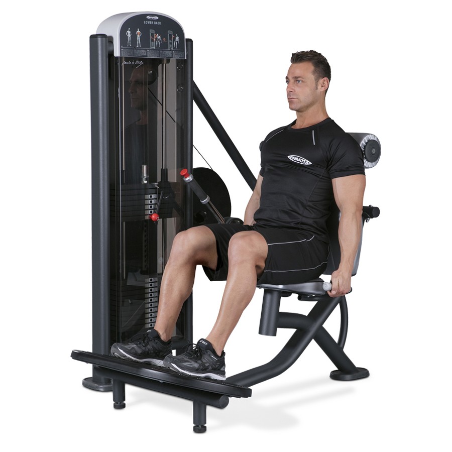 1FE005-Lower Back