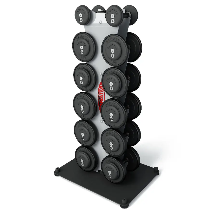 Vertical Dumbell Rack