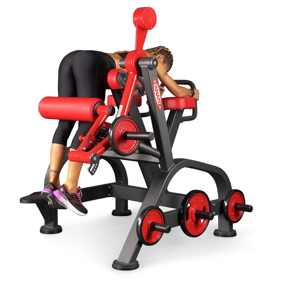 1FW096-Reverse Hyperextension