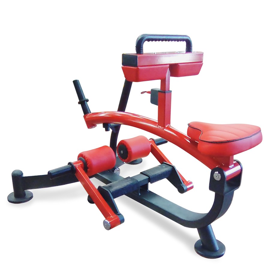 1HP588-Seated Calf