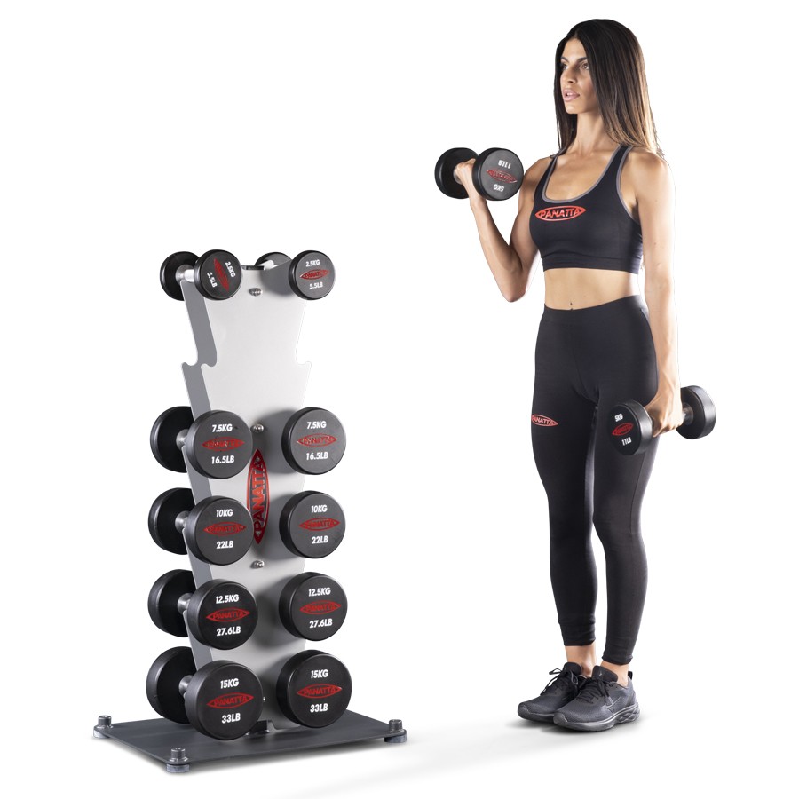 1AB310-Vertical Dumbell Rack