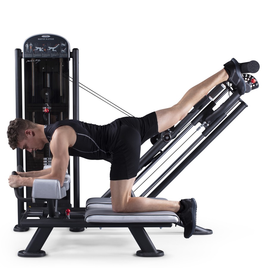1FE094A-Master Gluteus Plus