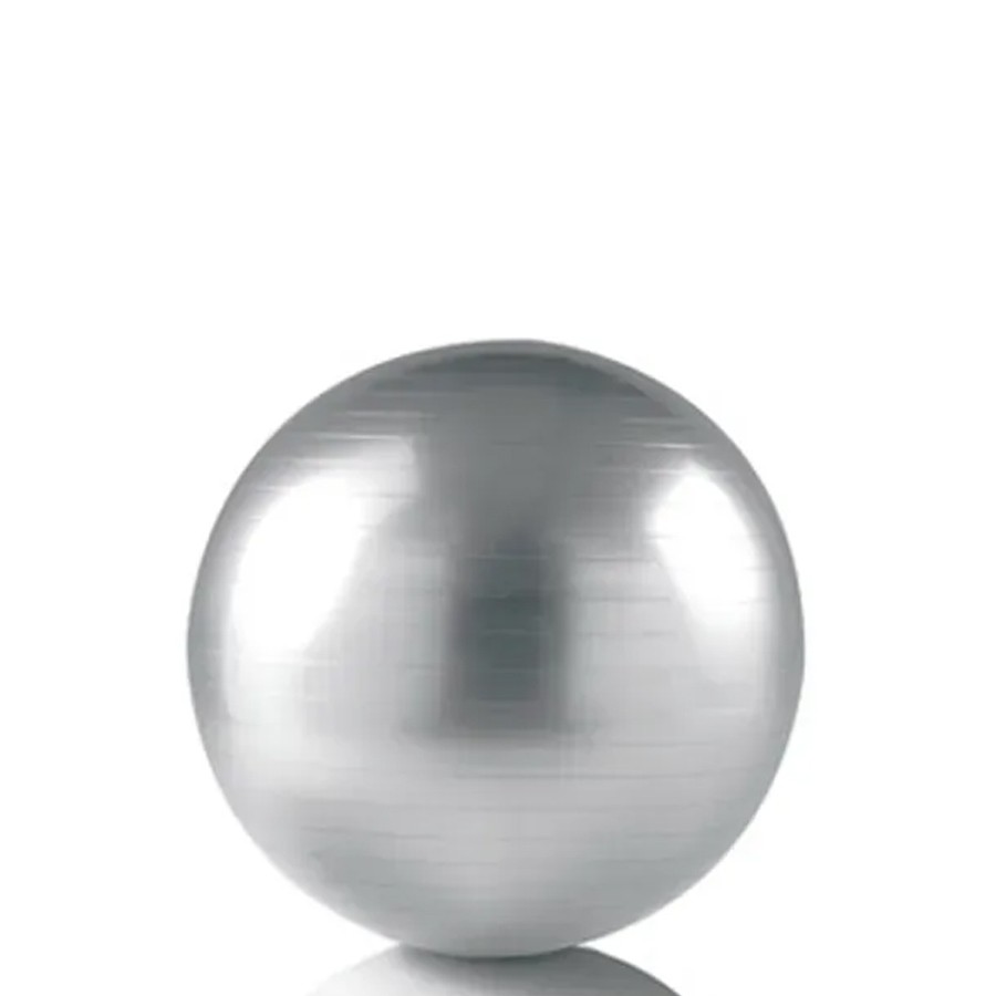 2CZ0055-Fit Ball