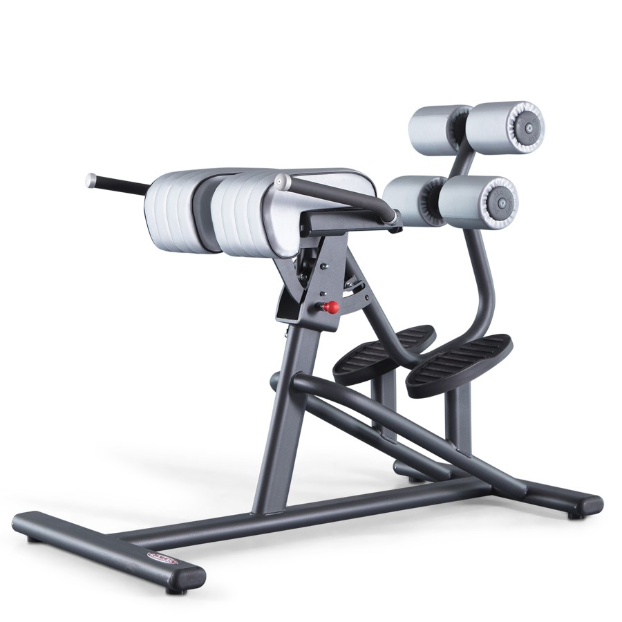 1FE200-Adjustable Back Extension