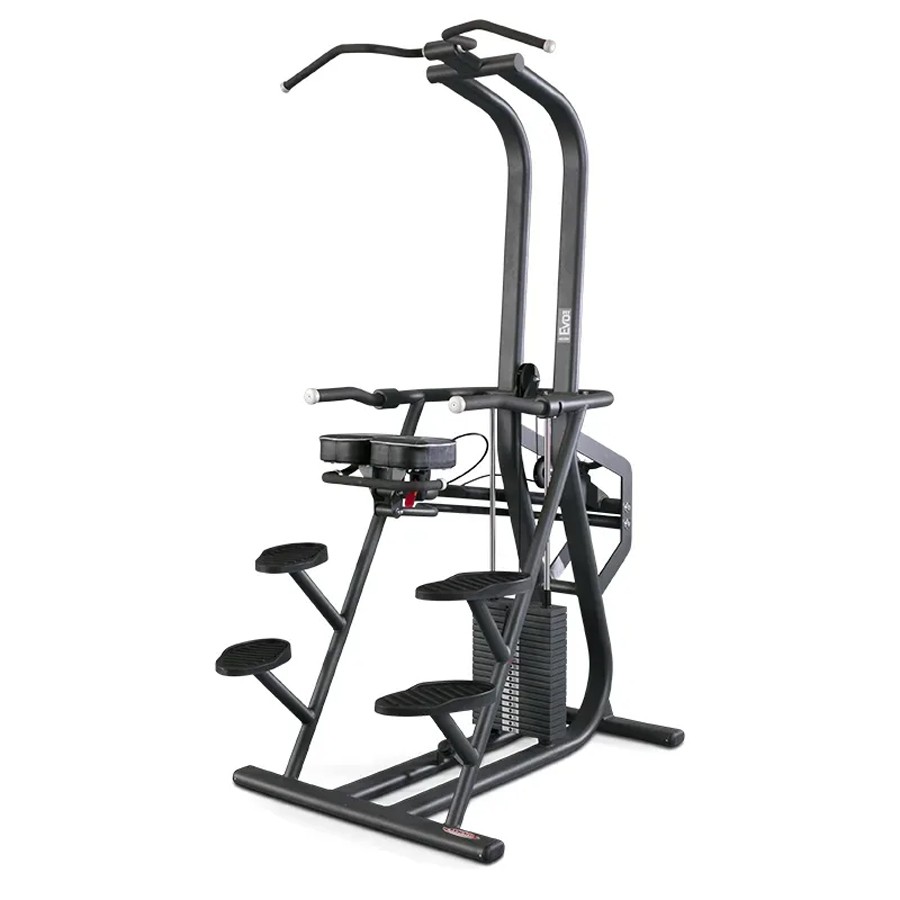 1FE121-Chin And Dip Counterbalanced