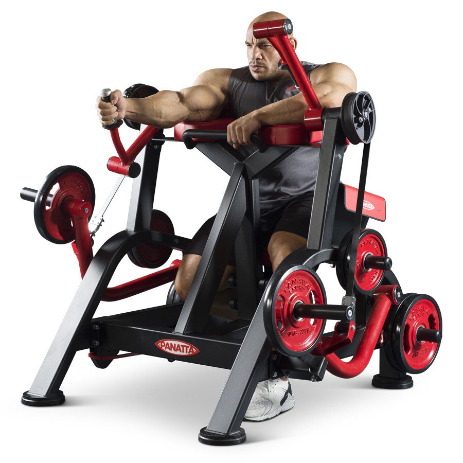1FW252-Alternate Triceps Machine