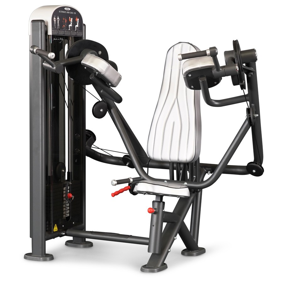 1FE356-Alternate Arm Curl 120