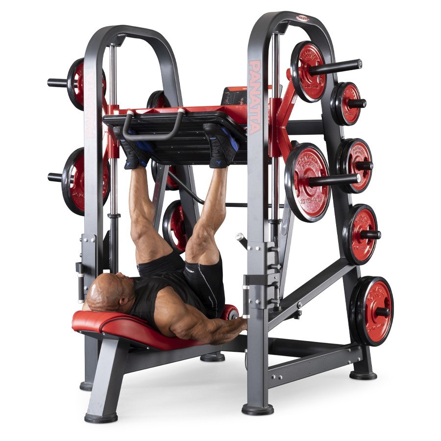 1FW193-Vertical Leg Press