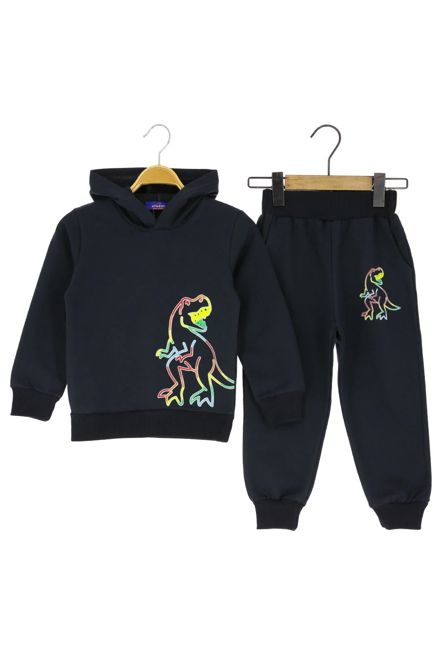 Erkek Çocuk Eşofman Takım Dinozor Baskılı Şardonlu Kışlık