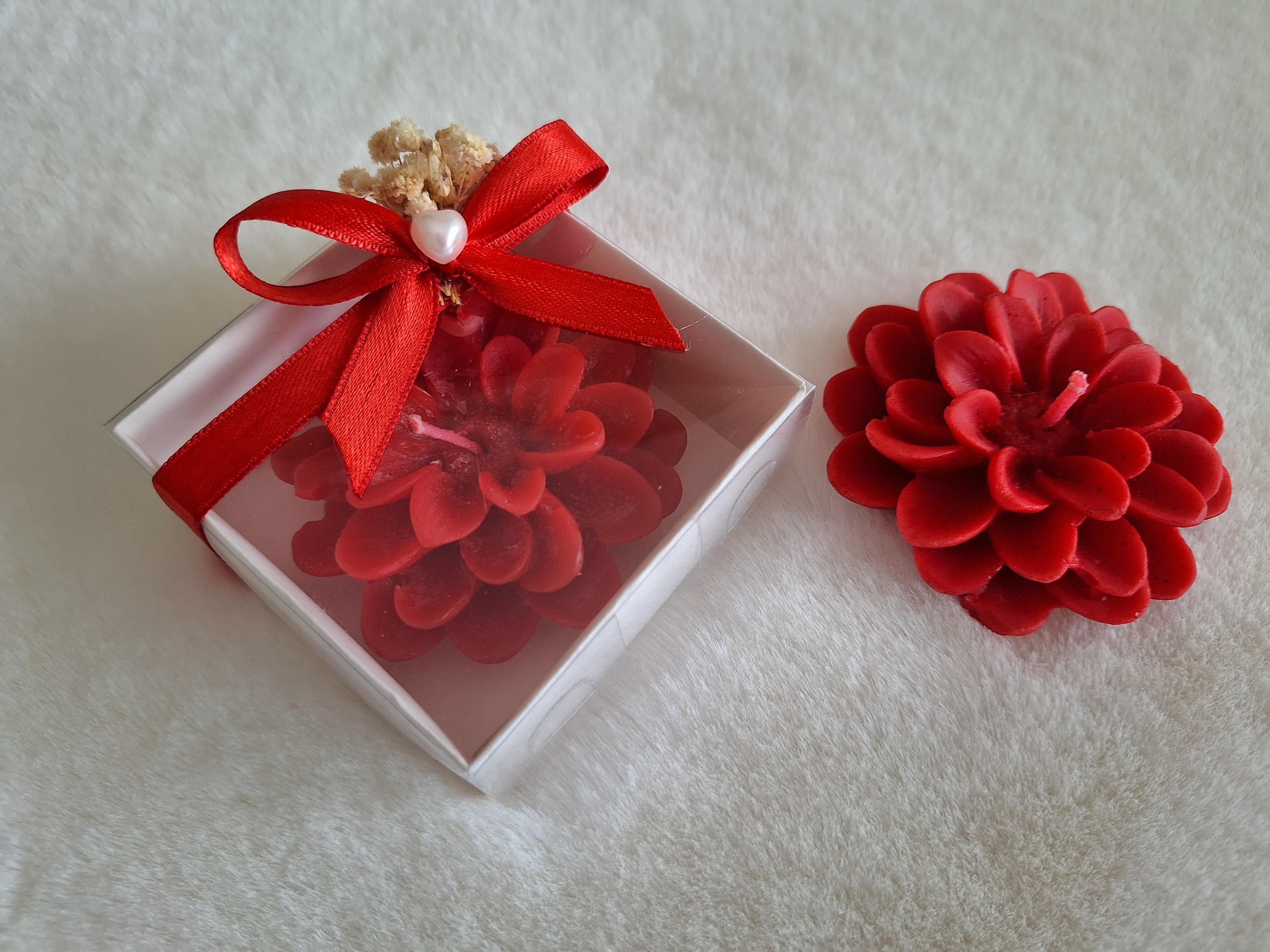 Asetat Kutuda Lotus Mum