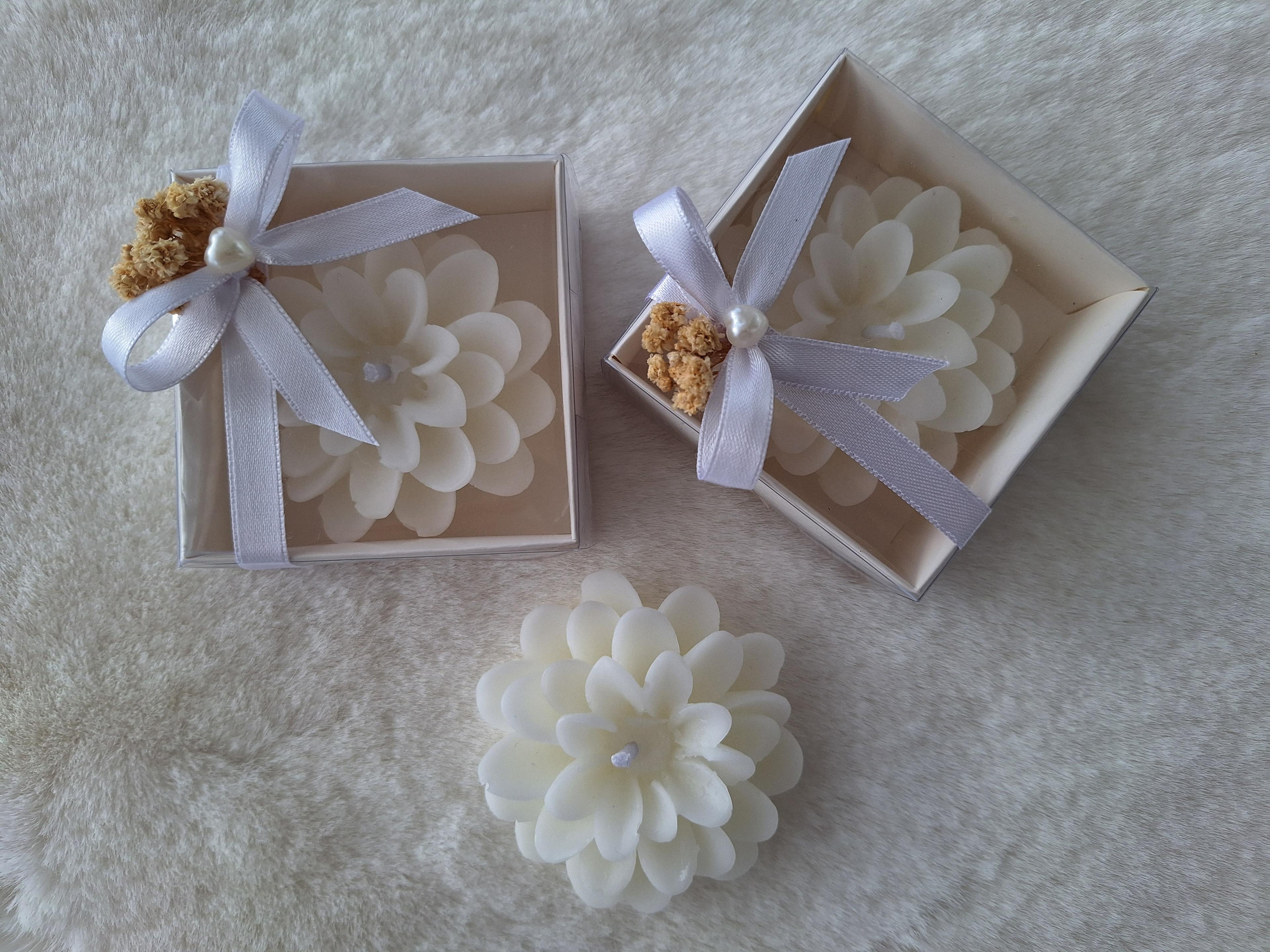 Asetat Kutuda Lotus Mum